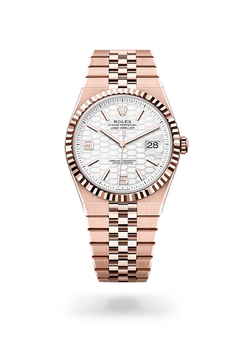 Rolex Land-Dweller 40 in 18 ct Everose gold, M127335-0001 | The Hour Glass